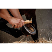 Grooming Deluxe by Kentucky Limpia Cascos Grooming Deluxe by Kentucky Limpia Cascos