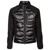 Harry's Horse Chaqueta Softshell Liciano Padded Negro Harry's Horse Chaqueta Softshell Liciano Padded Negro