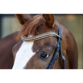 HB Brida Showtime It is So Special Marron<>Oro<>Amarillo HB Brida Showtime It is So Special Marron<>Oro<>Amarillo