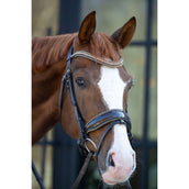 HB Brida Showtime It is So Special Marron<>Oro<>Amarillo HB Brida Showtime It is So Special Marron<>Oro<>Amarillo