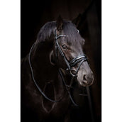 HB Brida Showtime Evalira Azul/Negro HB Brida Showtime Evalira Azul/Negro