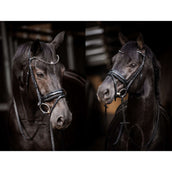 HB Brida Showtime Evalira Azul/Negro HB Brida Showtime Evalira Azul/Negro