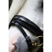 HB Brida Special Negro/Borgoña HB Brida Special Negro/Borgoña