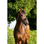 HB Brida Showtime Sweet Dreams Negro/Borgoña HB Brida Showtime Sweet Dreams Negro/Borgoña