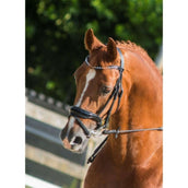 HB Brida Armani Negro HB Brida Armani Negro