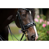 HB Brida Doble Special for You Negro azul HB Brida Doble Special for You Negro azul