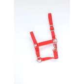 HB Cabestro para Potro Astrid Rojo HB Cabestro para Potro Astrid Rojo