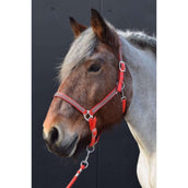 HB Cabezada Diamonds Collection Rojo HB Cabezada Diamonds Collection Rojo