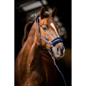 HB Cabezada Europa Rose Navy HB Cabezada Europa Rose Navy