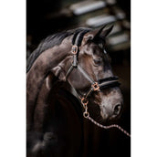 HB Cabezada Europa Rose Negro HB Cabezada Europa Rose Negro