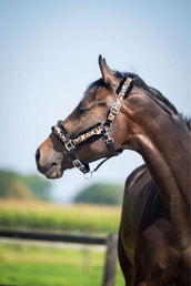 HB Cabezada Leopard Fur Leopard HB Cabezada Leopard Fur Leopard