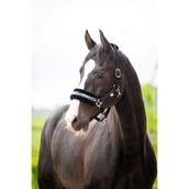 HB Cabezada Zebra Negro/Blanco HB Cabezada Zebra Negro/Blanco