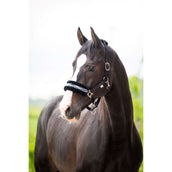 HB Cabezada Zebra Negro/Blanco HB Cabezada Zebra Negro/Blanco