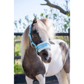 HB Cabezada Nylon Cavesón Azul claro HB Cabezada Nylon Cavesón Azul claro