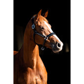 HB Showtime Cabezada Rivet Swarovski Cuero Negro azul HB Showtime Cabezada Rivet Swarovski Cuero Negro azul