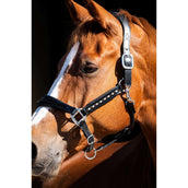 HB Showtime Cabezada Rivet Swarovski Cuero Negro HB Showtime Cabezada Rivet Swarovski Cuero Negro