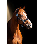 HB Showtime Cabezada Rivet Swarovski Cuero Negro HB Showtime Cabezada Rivet Swarovski Cuero Negro