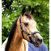 HB Cabezada Rose Gold Cuero Negro HB Cabezada Rose Gold Cuero Negro