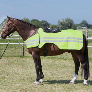 Harry's Horse Manta de ejercicio Reflective Reflectante Harry's Horse Manta de ejercicio Reflective Reflectante