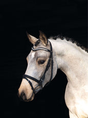 HKM Brida Bijou Negro HKM Brida Bijou Negro