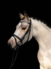 HKM Brida Bijou Negro HKM Brida Bijou Negro