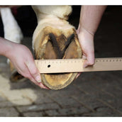 HKM Herradura Negro HKM Herradura Negro