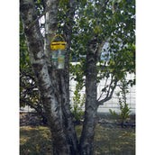 Agradi Flybuster Trampa de Jardín Incluye Cebo Agradi Flybuster Trampa de Jardín Incluye Cebo