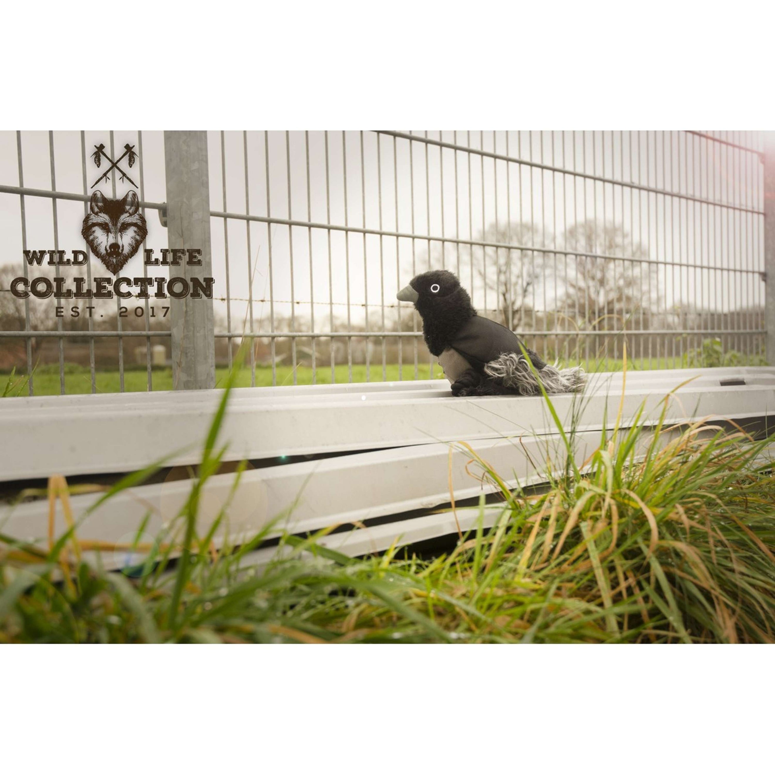 Wild Life Dog Cuervo Wild Life Dog Cuervo