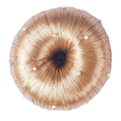 HORKA Red para el cabello Pearl Marron HORKA Red para el cabello Pearl Marron