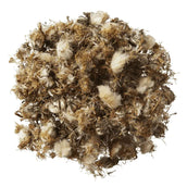 HorseFlex Diente de león Relleno HorseFlex Diente de león Relleno