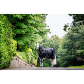 Amigo Turnout 1200D Plus 50g Negro/Gris/Plata Amigo Turnout 1200D Plus 50g Negro/Gris/Plata