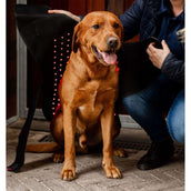 Horseware LED Red Light Therapy Mantas Negro Horseware LED Red Light Therapy Mantas Negro