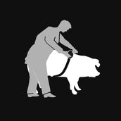 Kerbl Cinta Métrica para Ganado Kerbl Cinta Métrica para Ganado