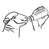 Kerbl Biberón para Cordero Plexiglas Kerbl Biberón para Cordero Plexiglas