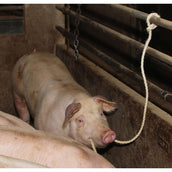 Kerbl Correa de Presentación Ganado Kerbl Correa de Presentación Ganado