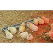 Kerbl Comedero para Aves de Corral Metal Kerbl Comedero para Aves de Corral Metal