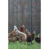 Ako Red Avícola Premium not Electrifiable Bolígrafo Doble Verde Ako Red Avícola Premium not Electrifiable Bolígrafo Doble Verde