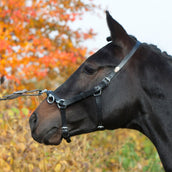 Kieffer Cabezón Perfect Negro Kieffer Cabezón Perfect Negro