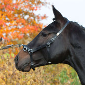 Kieffer Cabezón Perfect Negro Kieffer Cabezón Perfect Negro