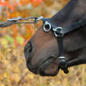 Kieffer Cabezón Perfect Negro Kieffer Cabezón Perfect Negro