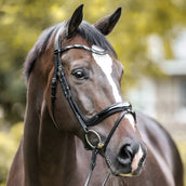 Kavalkade Brida Ivana Negro Kavalkade Brida Ivana Negro