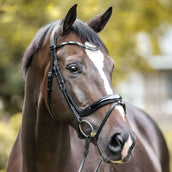 Kavalkade Brida Ivana Negro Kavalkade Brida Ivana Negro