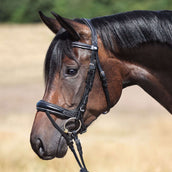 Kavalkade Brida Ivy IR Negro Kavalkade Brida Ivy IR Negro