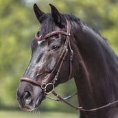 Kavalkade Brida Everana Hannover Marron Kavalkade Brida Everana Hannover Marron