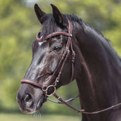 Kavalkade Brida Everana Hannover Marron Kavalkade Brida Everana Hannover Marron