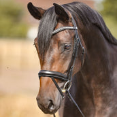 Kavalkade Frontal con Piedras de Imitación Negro Kavalkade Frontal con Piedras de Imitación Negro