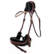 Kavalkade Padding Caliano Via Negro Kavalkade Padding Caliano Via Negro