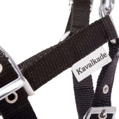 Kavalkade Cabezada Foal/Yearling Negro Kavalkade Cabezada Foal/Yearling Negro