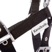 Kavalkade Cabestro Potro y Yearling Azul Kavalkade Cabestro Potro y Yearling Azul