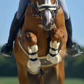 Kavalkade Botas para tendones Compete con Lana Negro Kavalkade Botas para tendones Compete con Lana Negro